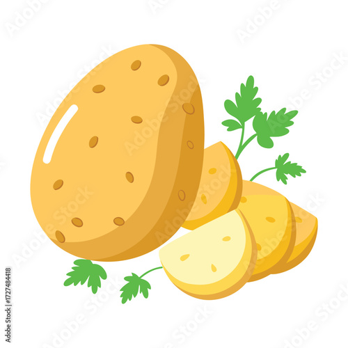 A whole raw potato with several sliced potato pieces and fresh green parsley sprigs on a white background healthy food ingredient