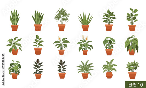 A diverse collection of popular indoor houseplants in pots, featuring various species for home decor and urban jungle concepts, isolated on a white background as a vector set