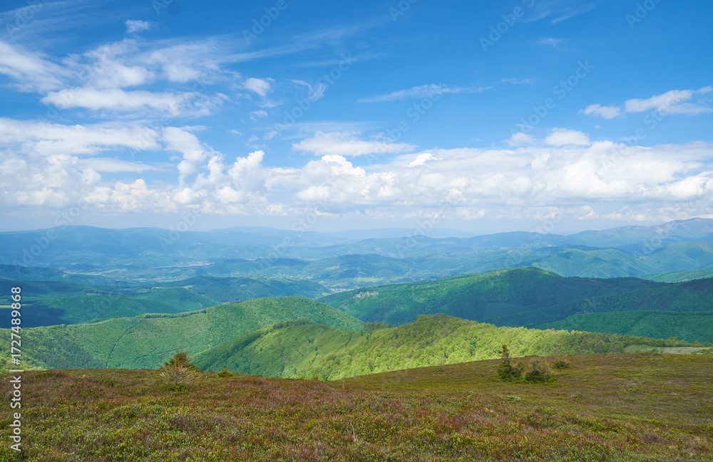 Naklejka premium Beautiful Carpathian mountains in Ukraine