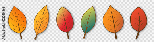 A set of bright, simple autumn leaves of different colors with a shadow on a transparent background. Cartoon foliage for seasonal design. Vector EPS 10.