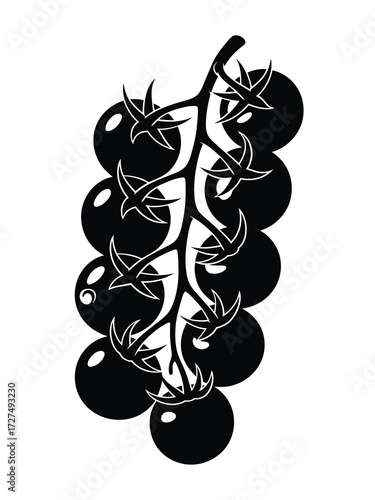 Bunch of dark ripe cherry tomatoes on the vine illustration