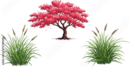 Pink flowering tree illustration, ornamental landscape design, tall green grass with seed heads, vibrant foliage vegetation, botanical nature vector, outdoor garden plant illustration