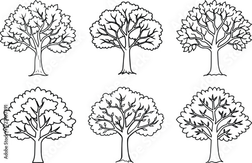 Set of fall tree outline vector and illustration line art
