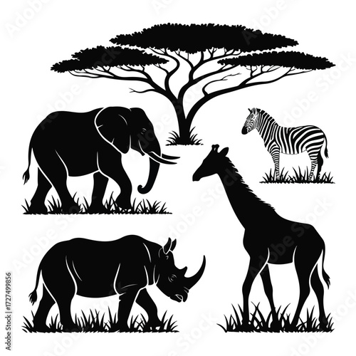 Striped zebra silhouette vector illustration of a wild mammal in a safari animals set