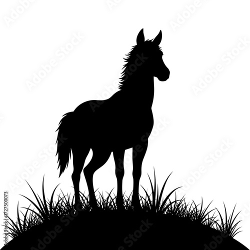 Silhouette of a young horse standing in grassy field against white background