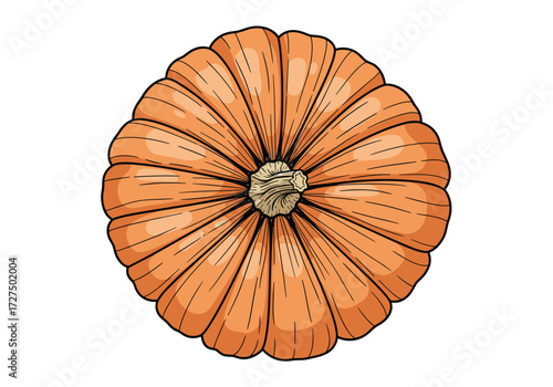 A top down view of a whole ripe orange pumpkin with segmented skin and a textured stem.