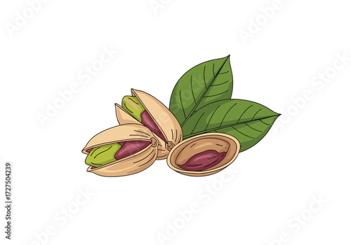 Fresh ripe green pistachios with leaves on a white background.