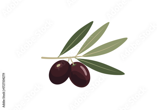 Fresh olives on a branch with green leaves.