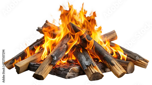 Roaring campfire with vibrant flames and charred logs isolated on transparent background, ideal for camping, outdoor adventures, and cozy nights