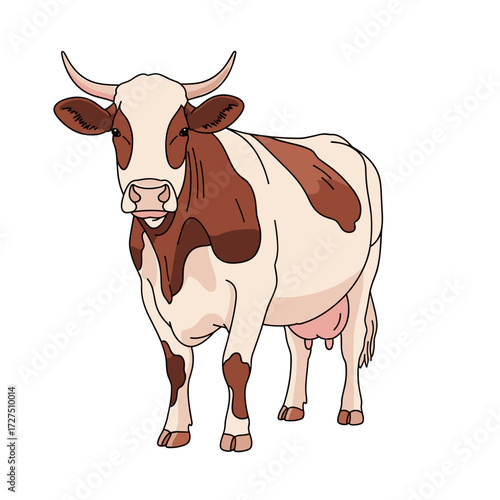 Standing brown and white dairy cow illustration with prominent horns and udder.