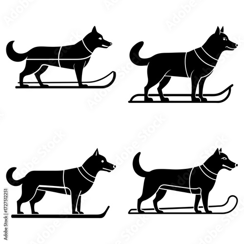 Four black sled dogs with harnesses standing on sleds in a symmetrical arrangement on a white background