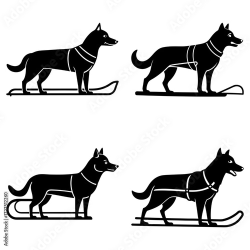 Four sled dogs in silhouette with harnesses standing on sleds in a symmetrical arrangement on white