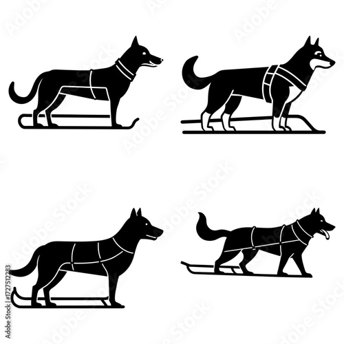 Four black silhouette images of sled dogs with harnesses on sleds in a square arrangement format