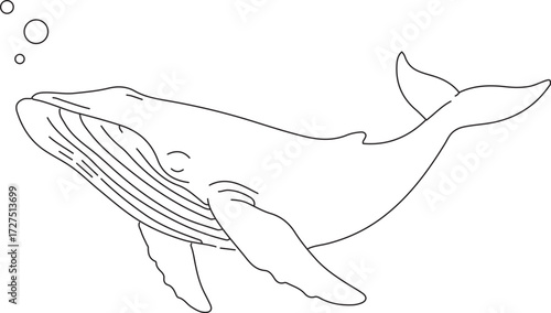 Humpback Whale Line Art – Black and White Ocean Wildlife Illustration