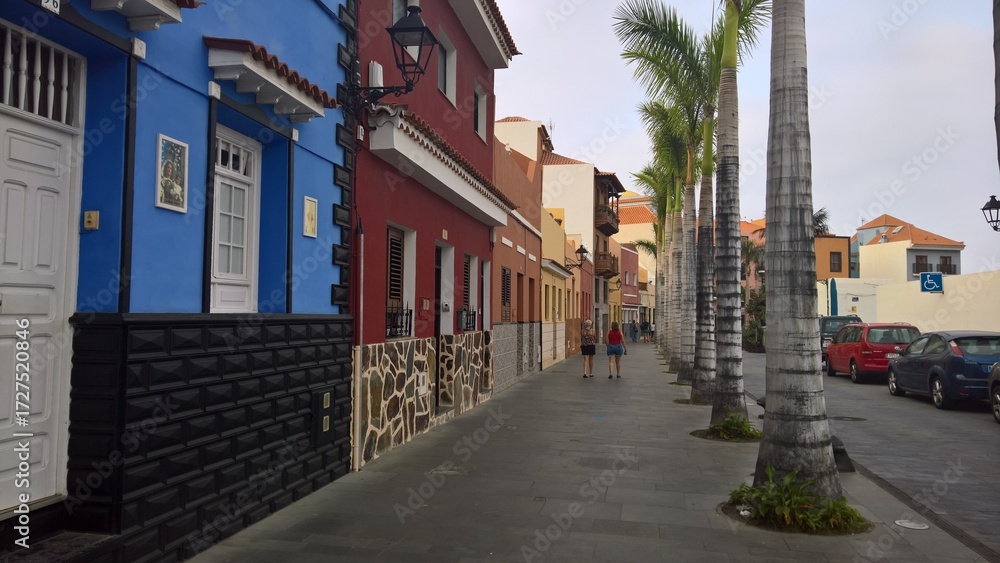 Fototapeta premium best of canary islands