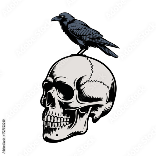 Raven perches on a human skull, symbolizing death and transformation. Suitable for gothic, dark themes, or halloweenrelated designs.