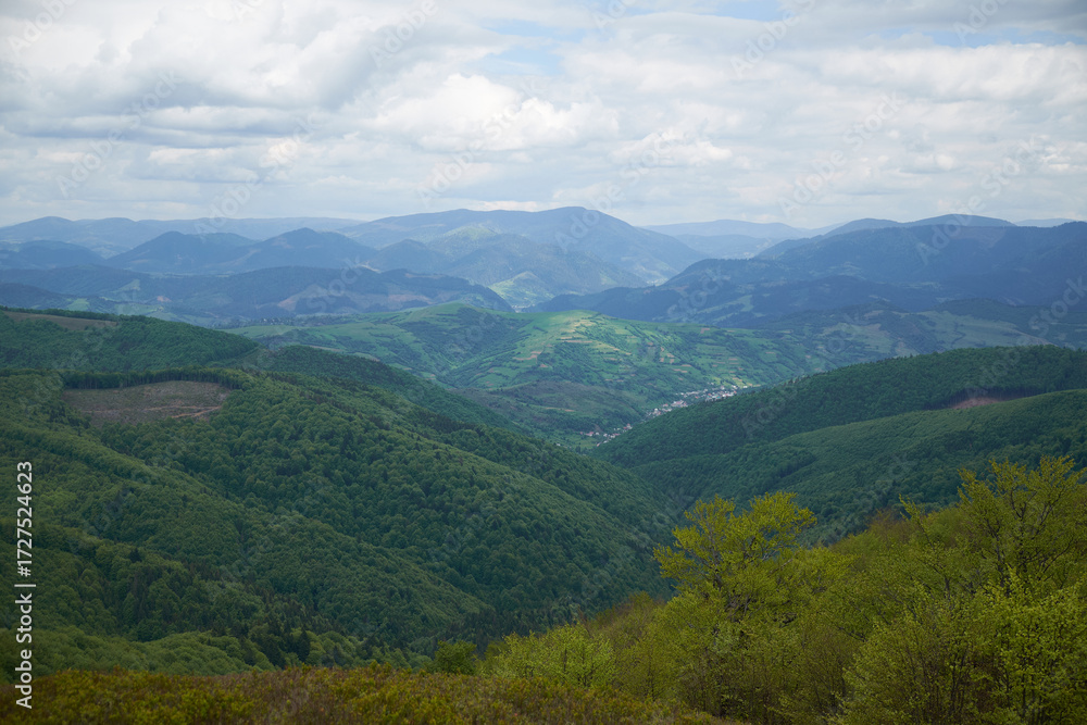 Fototapeta premium Beautiful Carpathian mountains in Ukraine