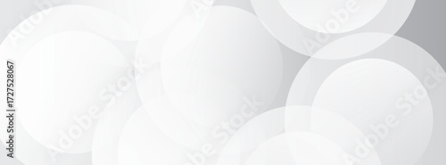 Simple lines grey background with dynamic circle lines art modern nice design