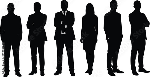 Business team silhouettes, corporate professionals standing together, leadership concept, teamwork unity, office staff diversity, career success, professional group collaboration, strategy