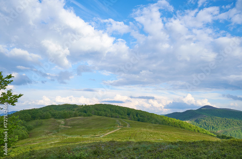 Wallpaper Mural Beautiful Carpathian mountains in Ukraine Torontodigital.ca