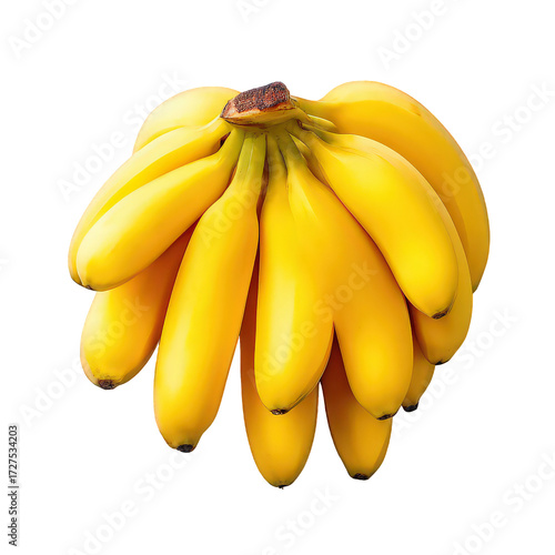Bright Yellow Baby Bananas Bunch Isolated on Black Background