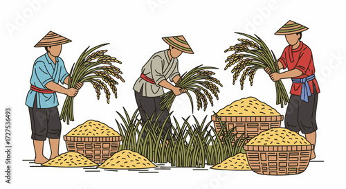 Illustration of three farmers harvesting rice with baskets and traditional hats.