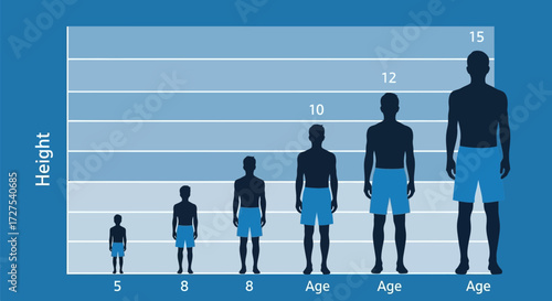 A graphic representation illustrates the growth of males from childhood to adulthood, showing height progression across different age groups