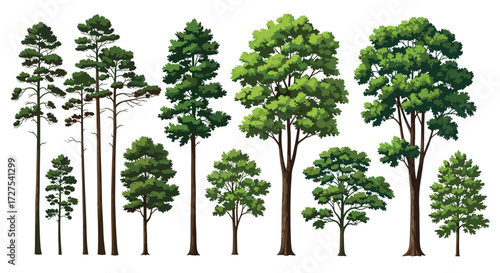 Diverse Tree Collection: A Visual Depiction of Various Tree Species in Nature, Perfect for Illustration and Educational Purposes, in High Resolution