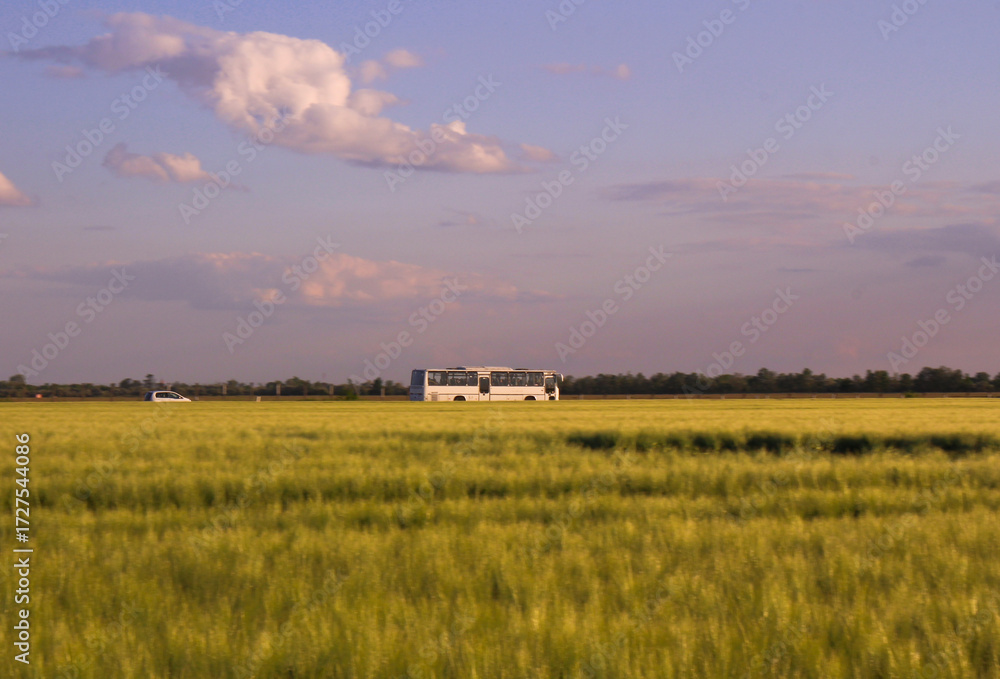 Fototapeta premium Bus driving past a green field