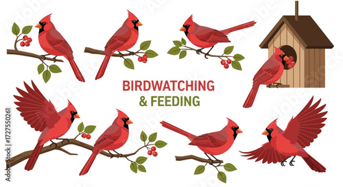 birds and flowers