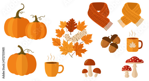 Autumn assortment with pumpkins scarves leaves and mushrooms