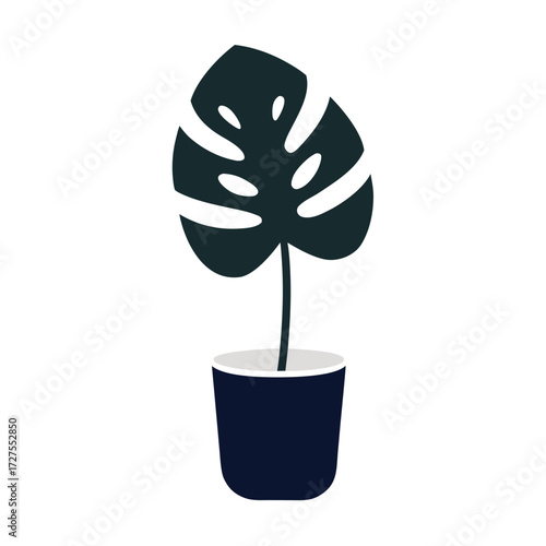 flower in a pot