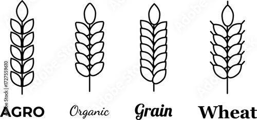Agricultural wheat and grain logos