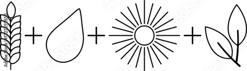 Eco symbol with wheat ear, water drop, sun and leaves