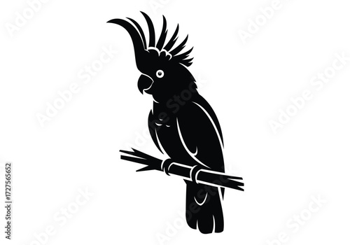 Black silhouette of a cockatoo bird perched on a branch isolated on white background