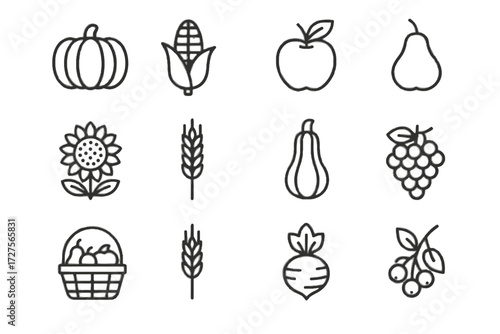 Icons vector apple stalk harvest berries basket wheat squash autumn icon barley