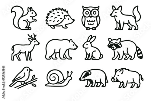 Raccoon bird autumn icon deer wild snail icons fox boar branch vector