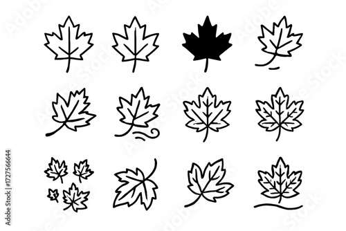 Veins vector leaf silhouette maple icon detailed single scattered shape