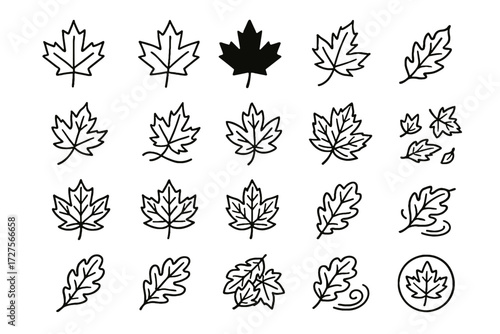 Leaf silhouette single veins branch maple vector icon autumn icons scattered oak