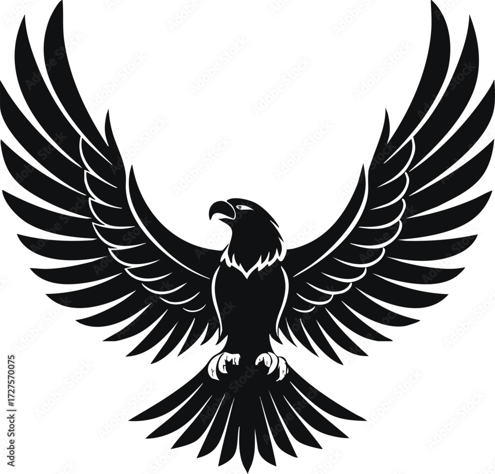 Fototapeta premium eagle with wings vector