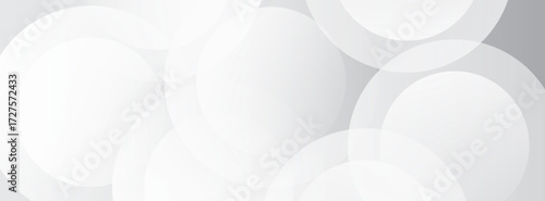 Simple lines grey background with dynamic circle lines art modern nice design