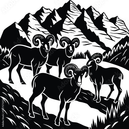 American bighorn sheep herd grazing on mountain slope