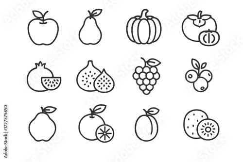 Plum quince pumpkin icon vector persimmon grape fruit kiwi seasonal icons cranberry
