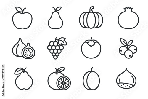 Fig plum orange autumn grape icons cranberry icon vector pumpkin apple quince