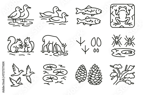 Frozen lily drinking branches squirrels wildlife insects pinecones vector birds lake footprints