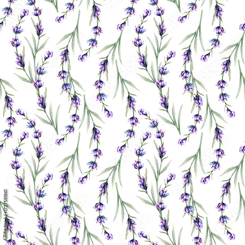 Hand Drawn Floral Background. Lavender Seamless Pattern. Lavender Watercolor. Provence Flowers Print. Lavender pattern for wallpapers, textile, cards, labels