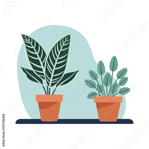 Two potted houseplants placed on a shelf near a window.