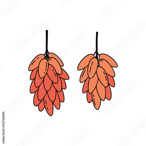Two clusters of hops hang from thin stems. 