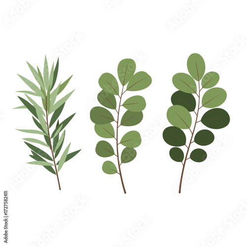 Three green sprigs of eucalyptus leaves and rosemary branches.