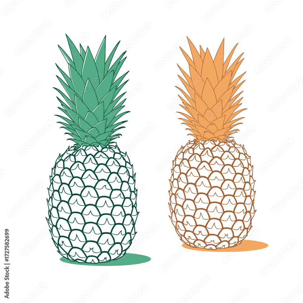 Obraz premium Two hand drawn pineapples one green one orange.